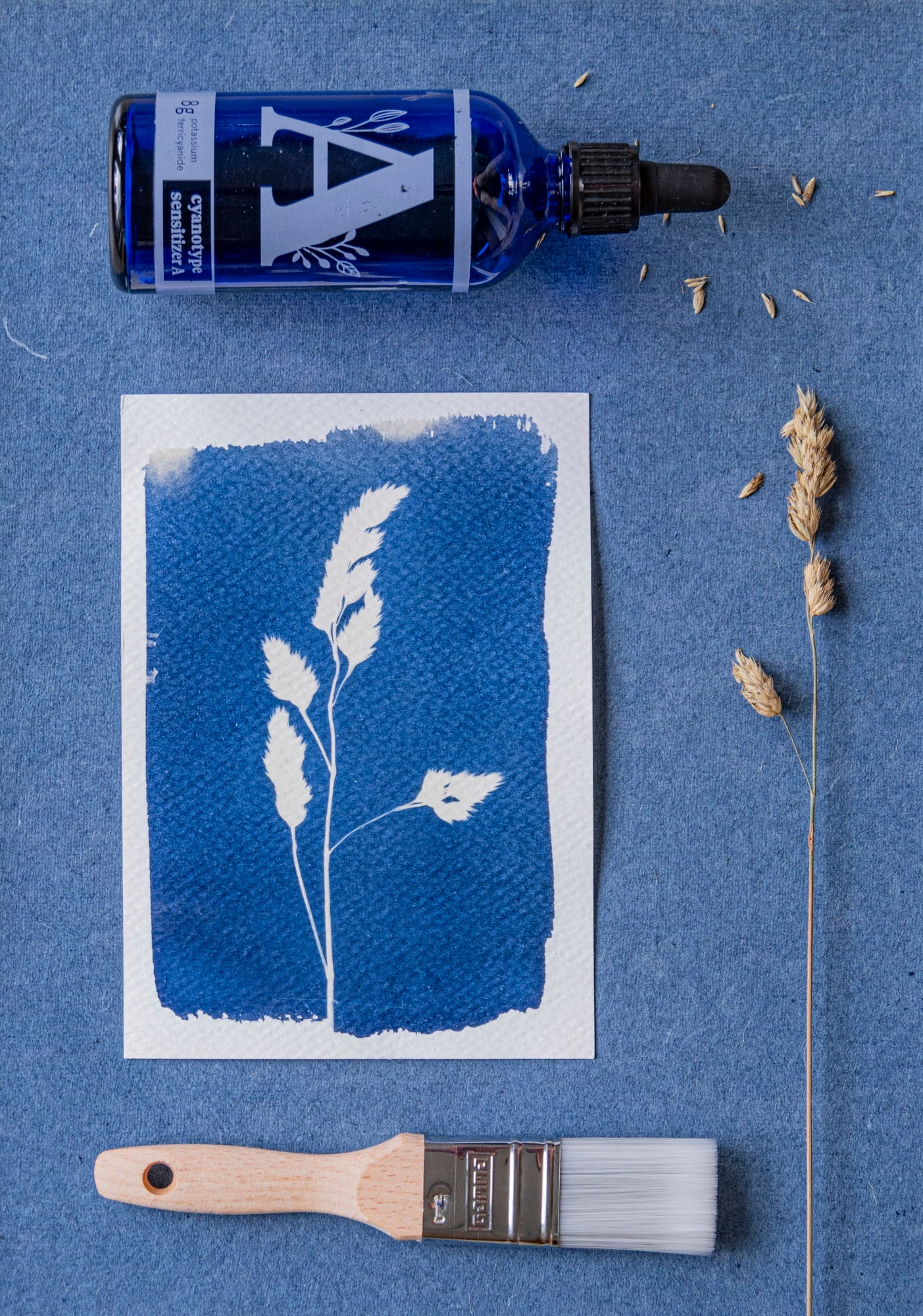 Botanopia Bausatz 