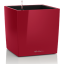 Lechuza Pflanzgefäß CUBE Premium 30 - Scarlet Rot Hochglanz