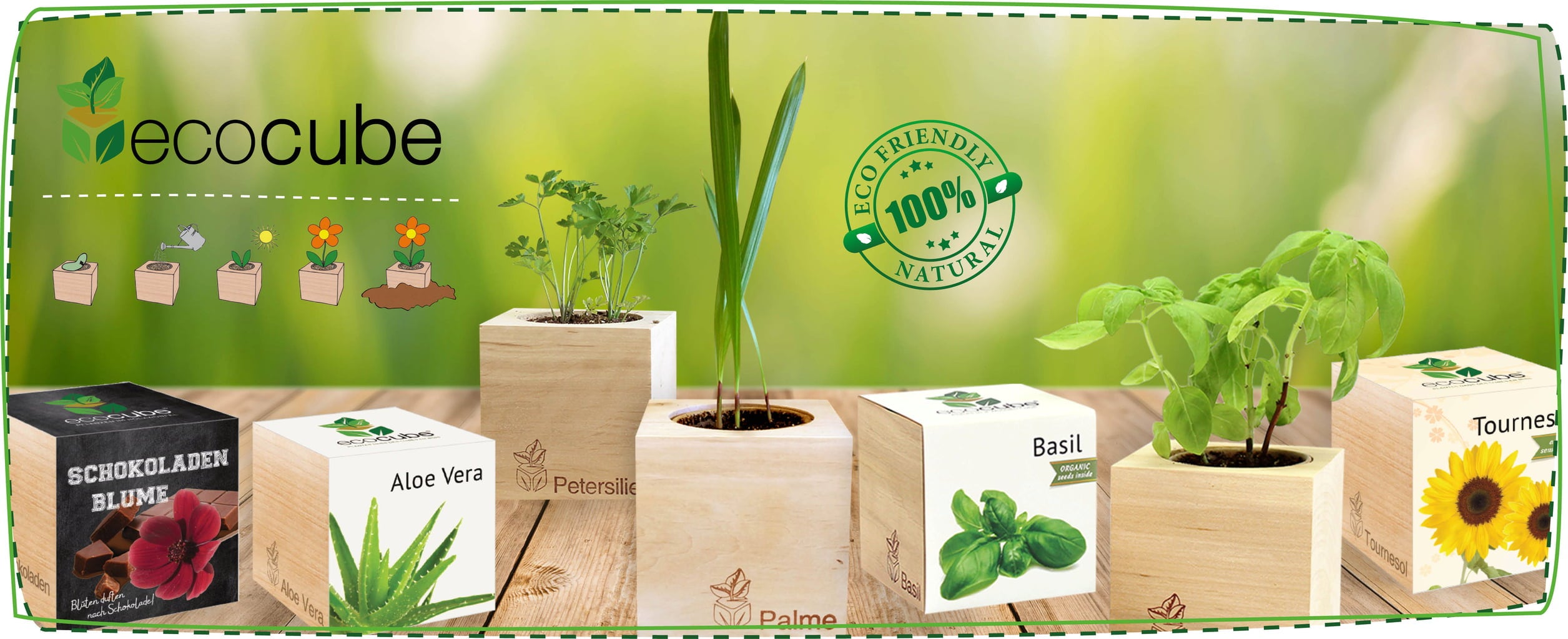 Feel Green ecocube 