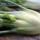 De Bolster Knollenfenchel 