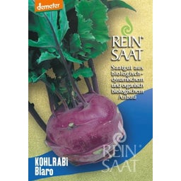 ReinSaat Kohlrabi 