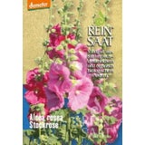 ReinSaat Stockrose ''Alcea rosea fl. pl''