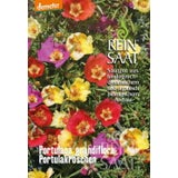 Portulakröschen ''Portulaca grandiflora''