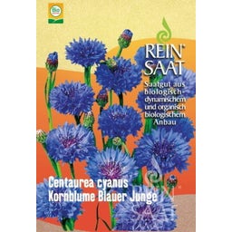 ReinSaat Kornblume ''Blauer Junge'' - 1 Pkg