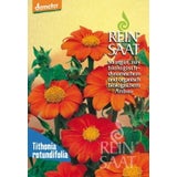 ReinSaat Mexikanische Sonnenblume