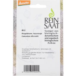 ReinSaat Ringelblume, reinorange - 1 Pkg