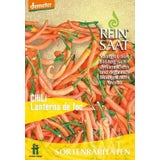 ReinSaat Chili "Lanterna de foc"