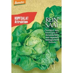 ReinSaat Kopfsalat 