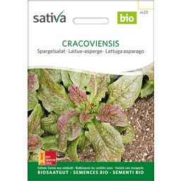 Sativa Bio Spargelsalat 