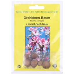 TROPICA Orchideenbaum - 8 Körner