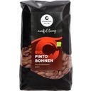 Cosmoveda Pinto Bohnen ganz BIO - 500 g