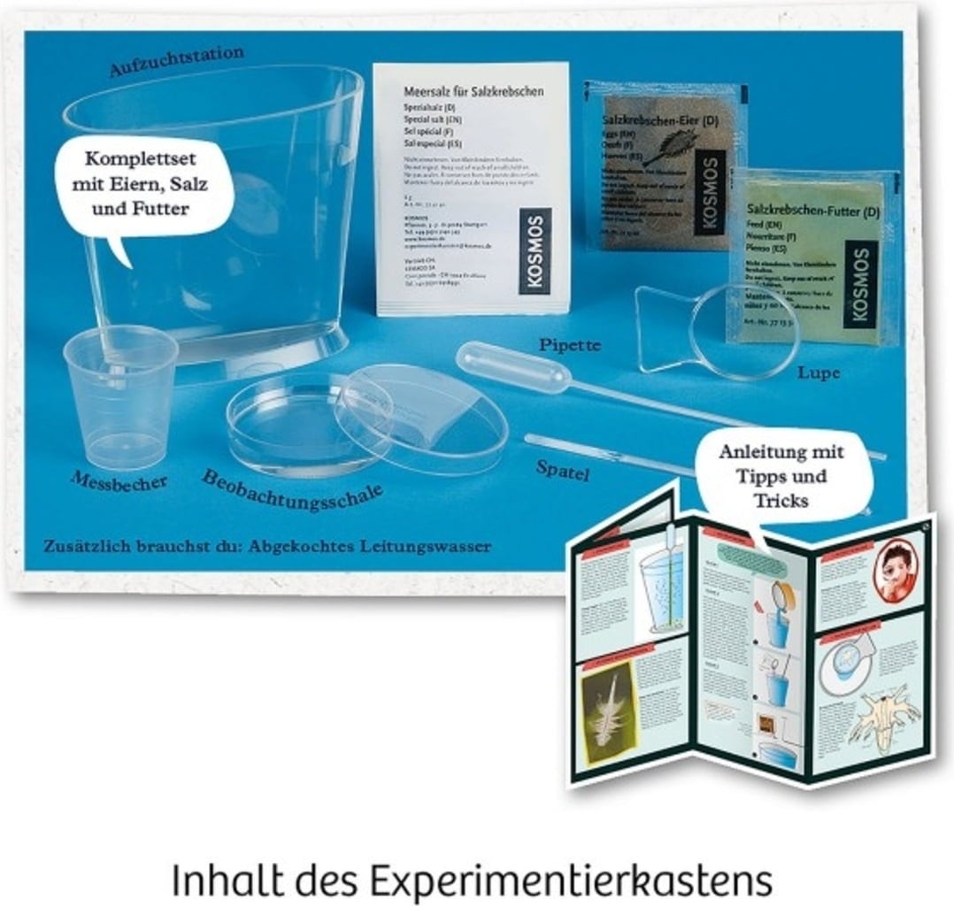 KOSMOS Urzeit-Krebse Experimentierkasten - 1 Stk