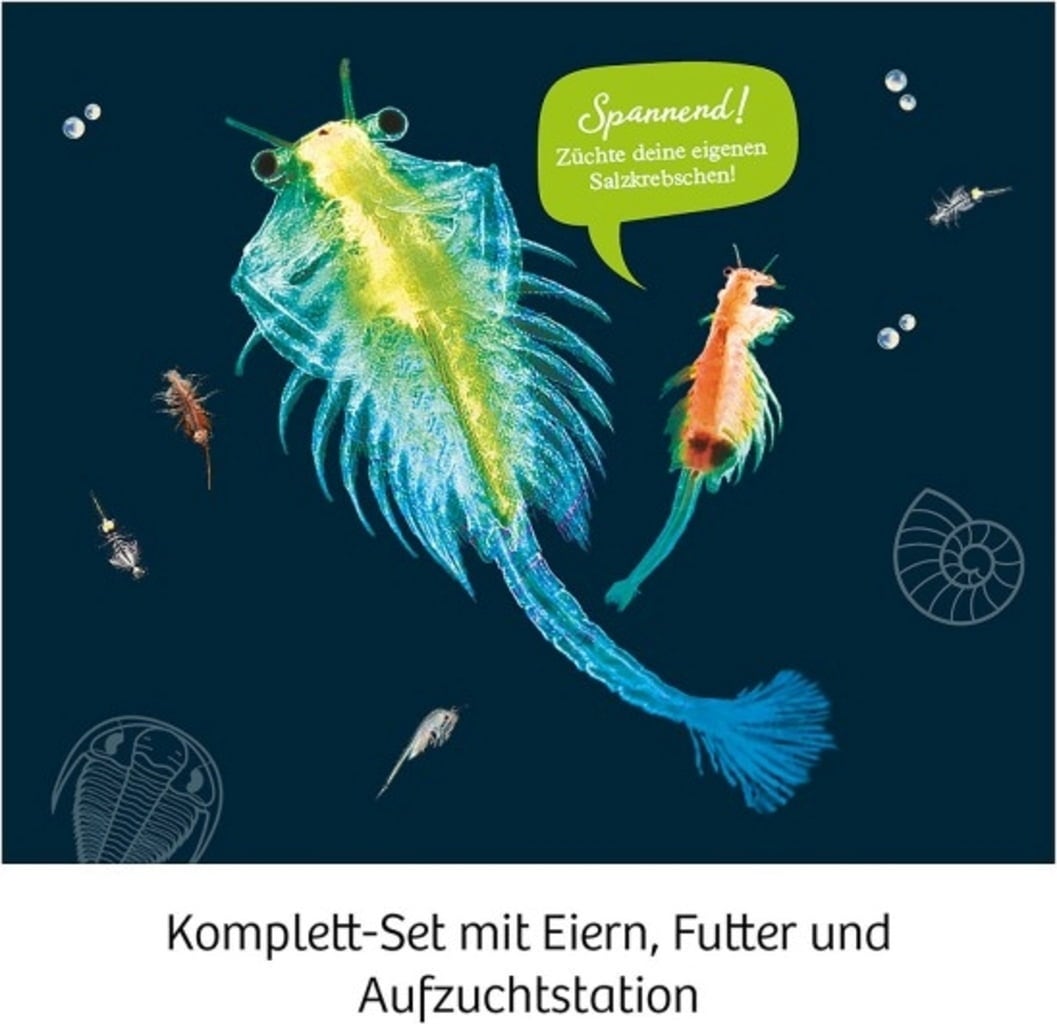 KOSMOS Urzeit-Krebse Experimentierkasten - 1 Stk