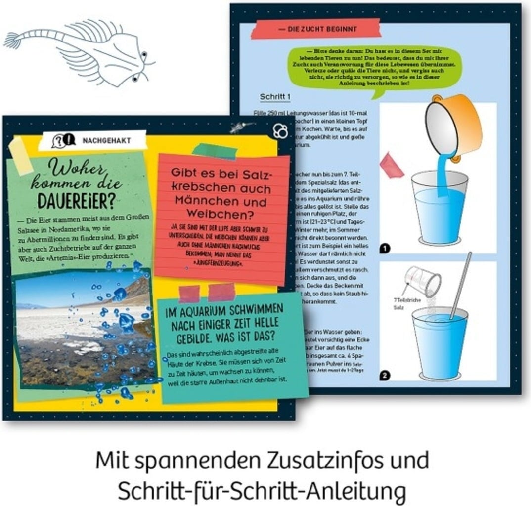 KOSMOS Urzeit-Krebse Experimentierkasten - 1 Stk