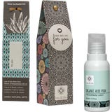 Kleiner Gru&szlig; mit Aloe Vera Hand & Body Lotion