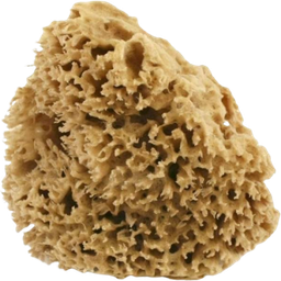 Cose della Natura Honeycomb-Naturschwamm - Medium, 8-10 g