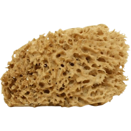Cose della Natura Honeycomb-Naturschwamm