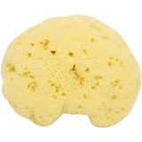 Cose della Natura Gebleichter Seidenschwamm