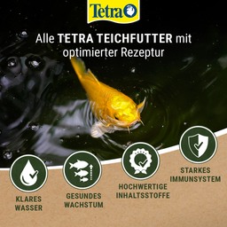 Tetra Pond Goldfish Mix - 1 l