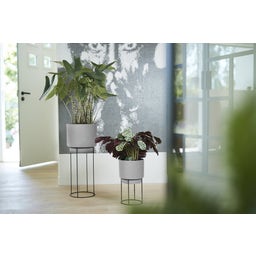 elho b.for studio rund 30 cm - living concrete