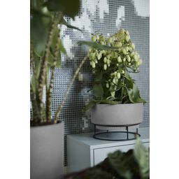 elho b.for studio Schale 30 cm - living concrete