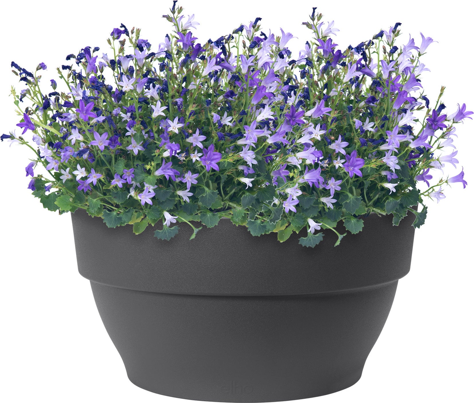 elho vibia campana Schale 27 cm
