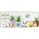 Feel Green Grass Cube 