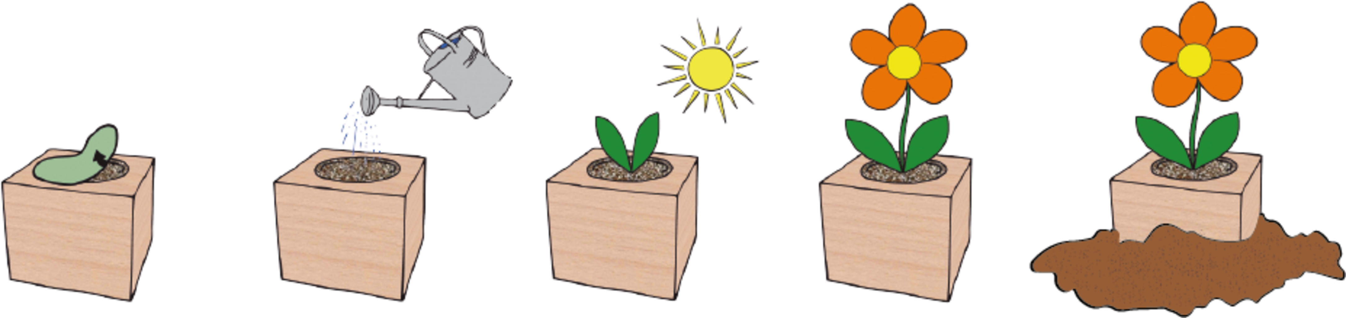 Feel Green ecocube 