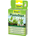 Tetra PlantaStart - 12 Tabletten