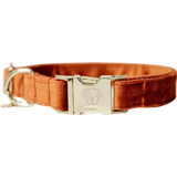 Kentucky Dogwear Hundehalsband "Velvet" orange