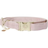 Kentucky Dogwear Hundehalsband "Velvet" soft rose