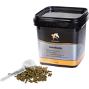 Equanis DetoxBooster - 1,50 kg