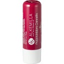Lippenbalsam, Zimt (5 ml)