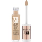 Catrice True Skin High Cover Concealer