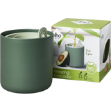 Avocado Anzuchttopf "amazing avocado pot"