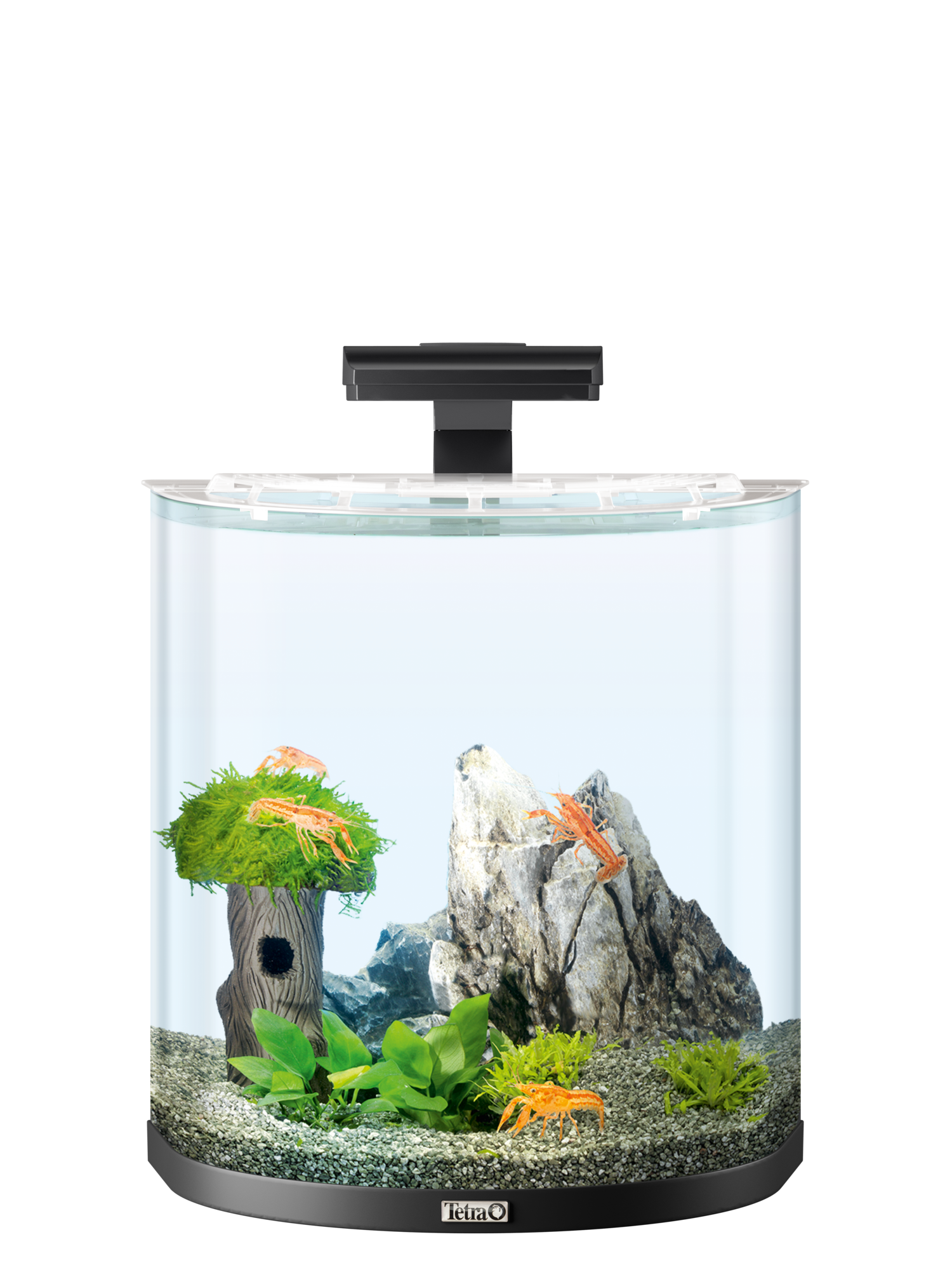 Tetra AquaArt Explorer LED 30L - schwarz