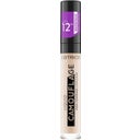 Liquid Camouflage High Coverage Concealer, 001 - Fair Ivory