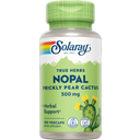 Solaray Feigenkaktus (Prickly Pear) - 100 veg. Kapseln