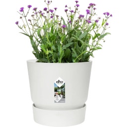 elho greenville Topf rund 20 cm - weiss