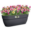 elho vibia campana easy hanger large - anthrazit