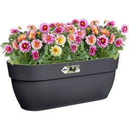 elho vibia campana easy hanger large - anthrazit