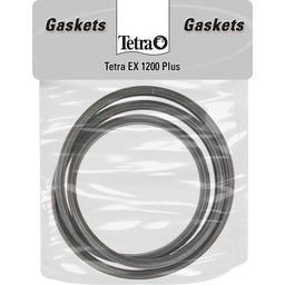 Tetra Dichtungsring EX - 1200