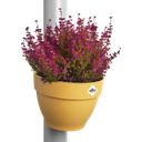 Regenfallrohrpflanzgefäß vibia campana 22cm - honig gelb