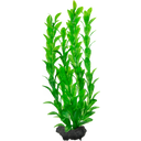 Tetra Kunststoff Aquariumpflanze Hygrophila - Hygrophila