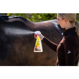 Stiefel RP1 Insekten-Stop Spray