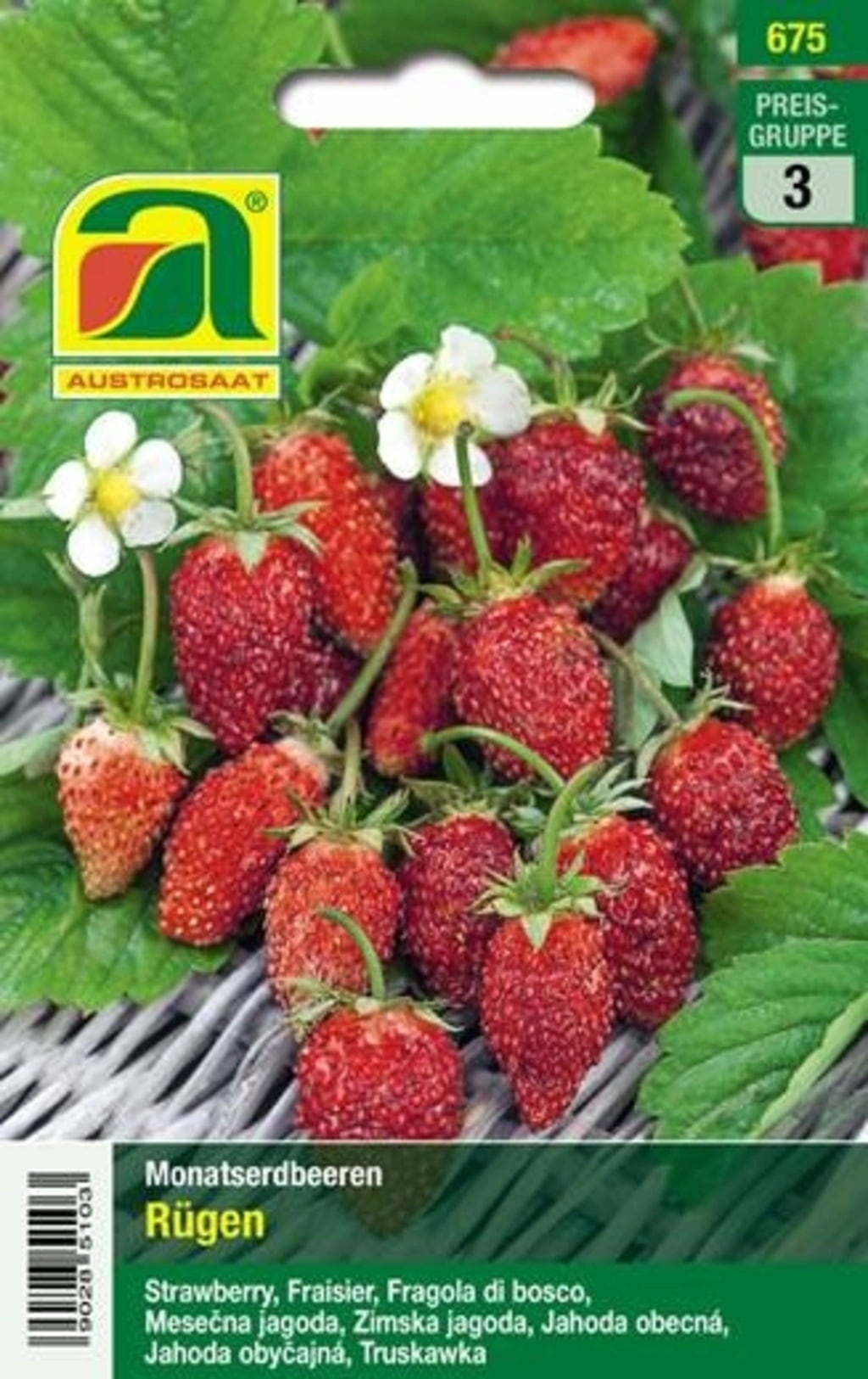 AUSTROSAAT Monatserdbeeren 