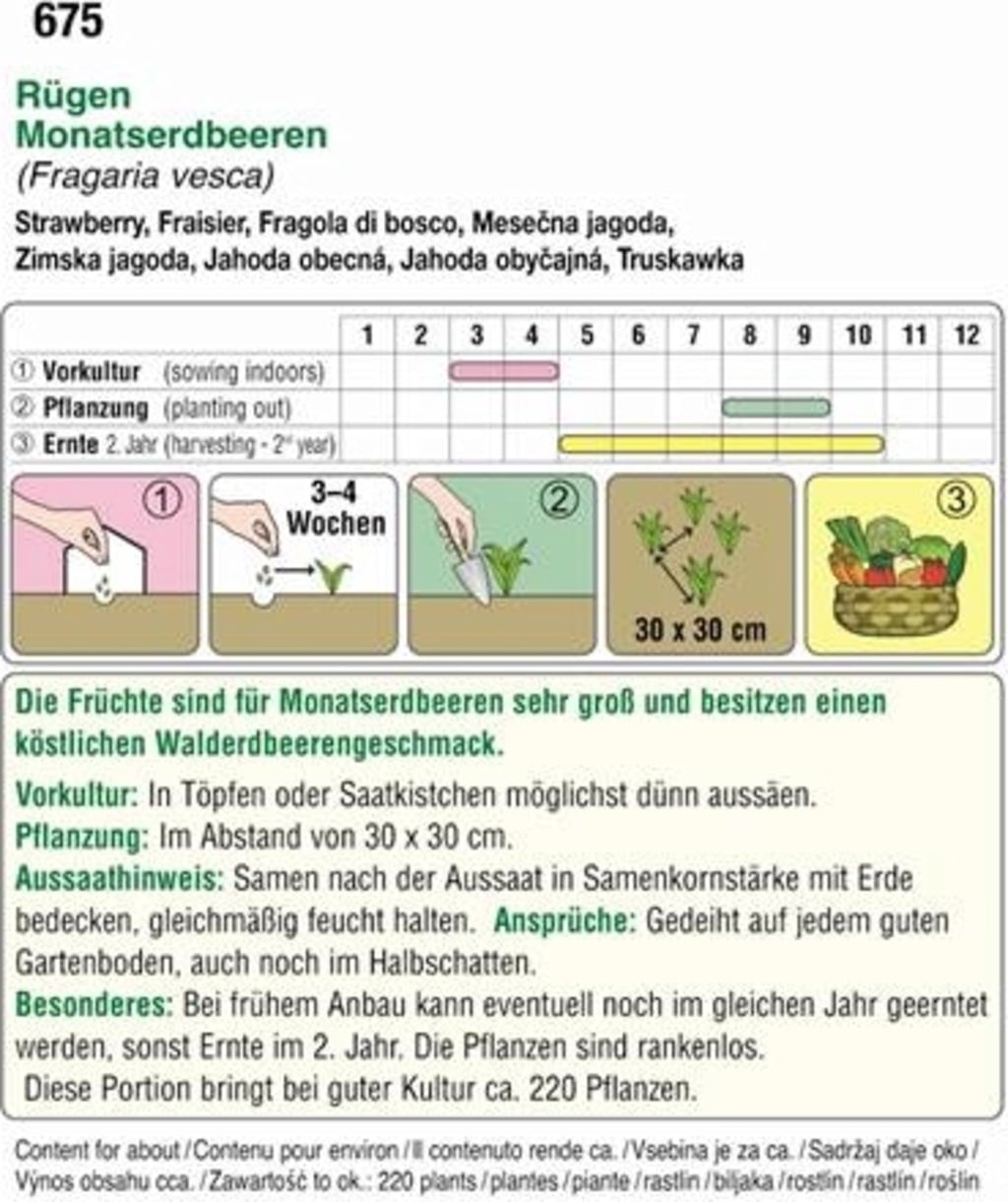 AUSTROSAAT Monatserdbeeren 