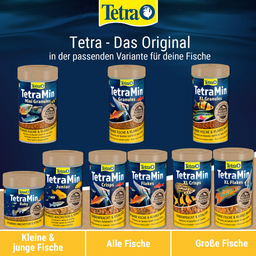 TetraMin Granules - 250 ml