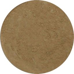 Provida Organics Earth Minerals Satin Matte Foundation - Olive 6