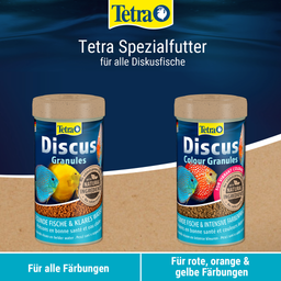 Tetra Discus Colour - 250 ml